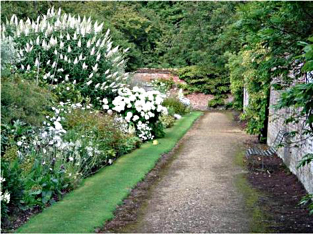 DA garden 2