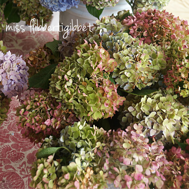 drying hydrangeas 5