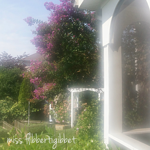 summer garden 4