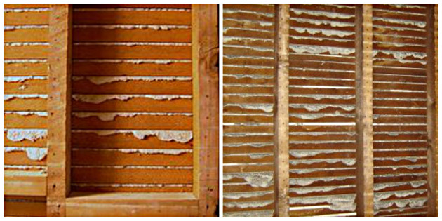 lath-wall-collage