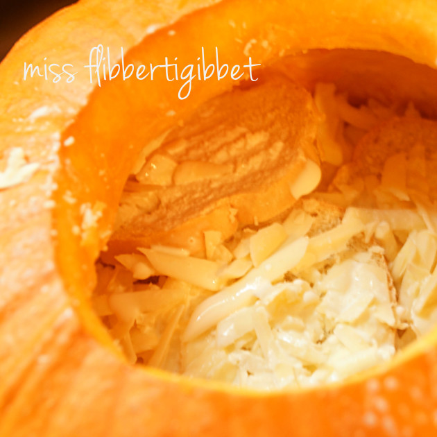 pumpkin-au-gratin-4
