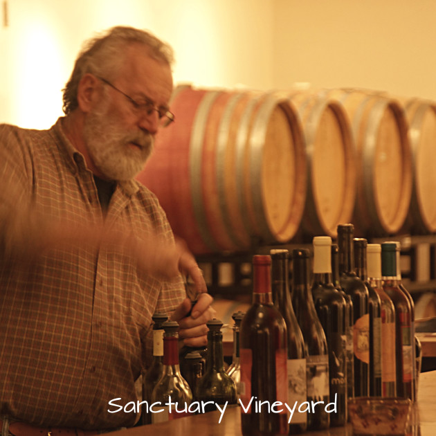 sanctuary-vineyard-10