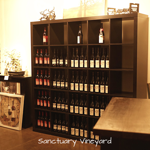 sanctuary-vineyard-11