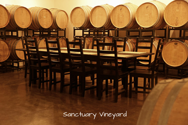 sanctuary-vineyard-2