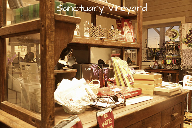 sanctuary-vineyard-5