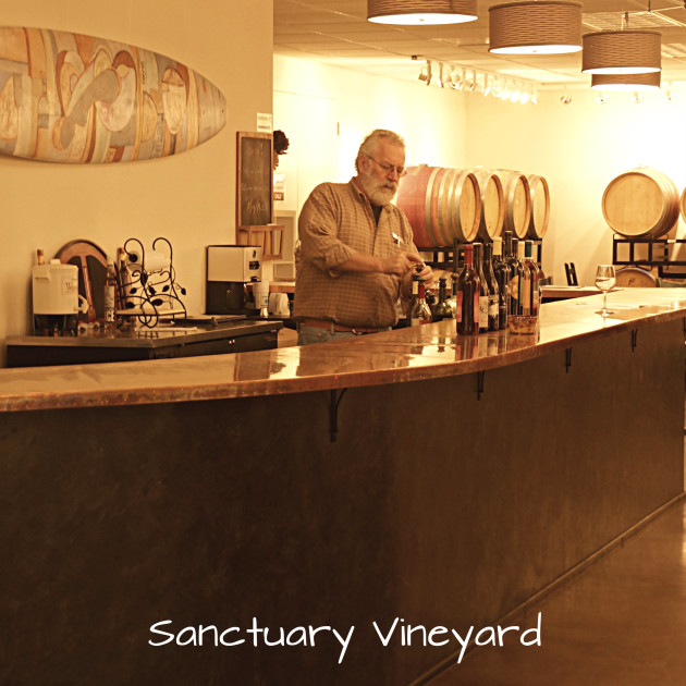 sanctuary-vineyard-9