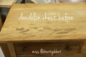 dandelion-chest-before